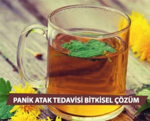 Panik Atak Tedavisi Bitkisel Çözüm