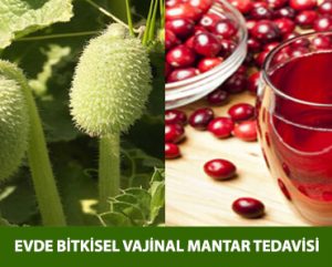 Vajinal Mantar Evde Bitkisel Tedavi Yöntemi