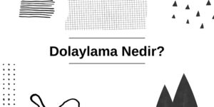 Dolaylama Nedir? Dolaylama Örnek Soru ve Cevapları