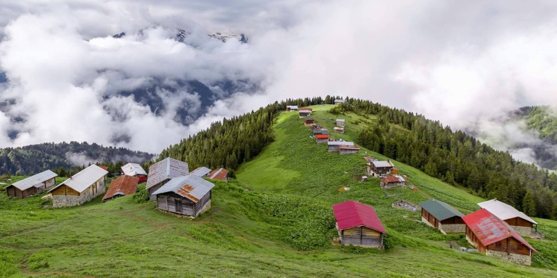 Karadeniz Pokut Yaylası