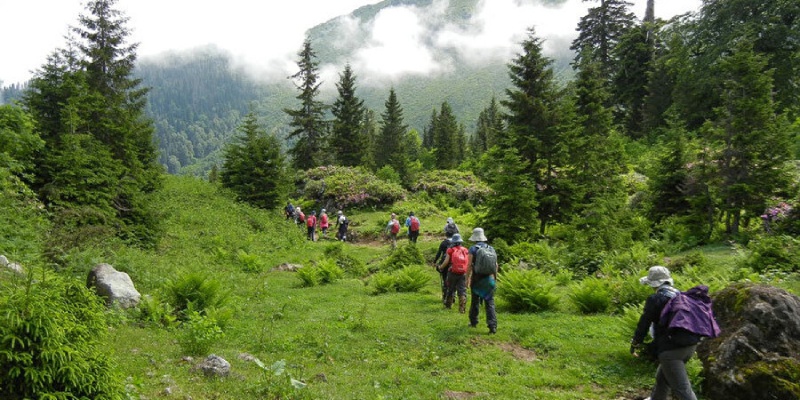 Karadeniz yaylalarında trekking turları