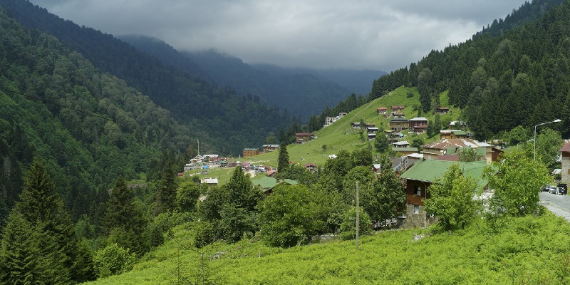 karadeniz turları ayder yaylası